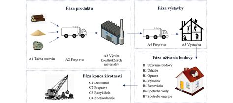 Vizualizácia životného cyklu hojenia tetovania