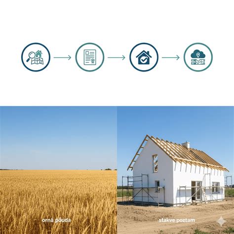 Infografika znázorňujúca proces klíčenia v pohári