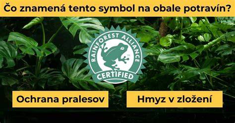 Infografika: Ako rozpoznať lepok v potravinách (symbol bezlepkového certifikátu, bežné zdroje lepku v potravinách)