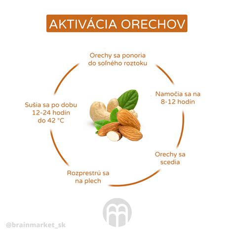 Infografika: Porovnanie odrôd ľanových semienok a ich omega-3 obsah