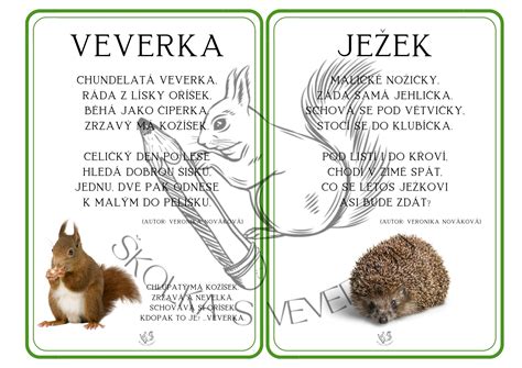 Ilustrácia houby a veverky v hre