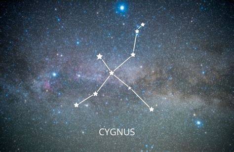 Mapa souhvězdí Cygnus na noční obloze