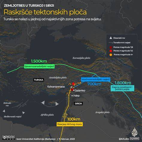 Infografika: Život vošiek, molíc a smútiviek na paradajkách