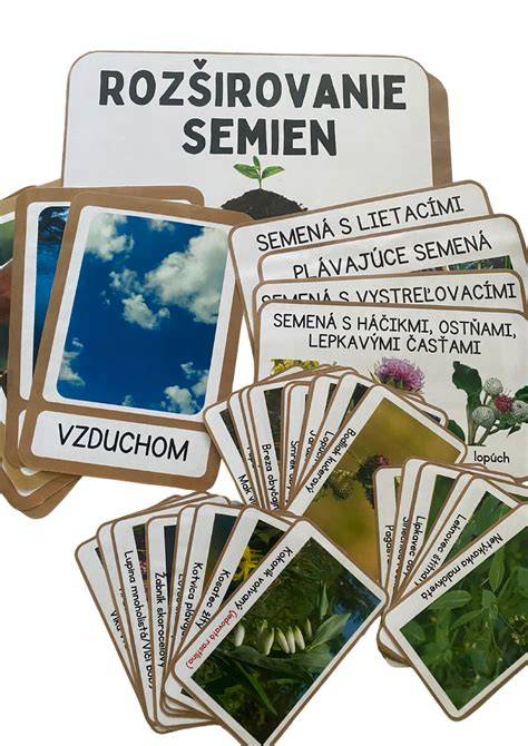 Infografika:kroky výsevu semien vodných rastlín