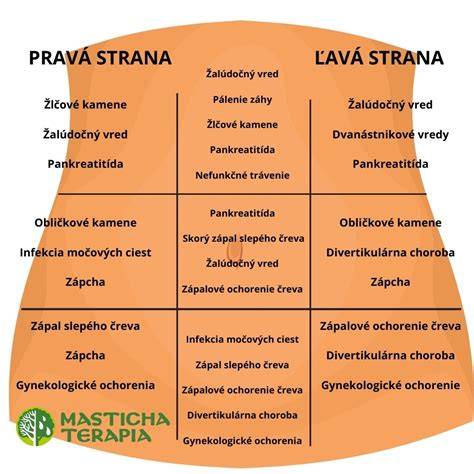 Mapa bolestí brucha a kvadrantov
