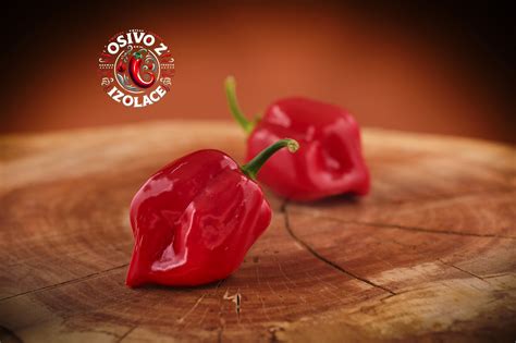 Habanero Red - červené plody