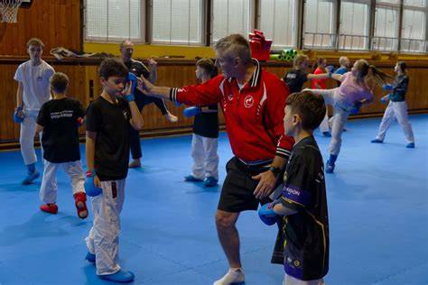 Obrázok starých štýlov karate a prameňov