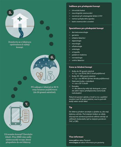 Infografika: Cesta pacienta nemocnicou Trstená od prijatia po následnú starostlivosť