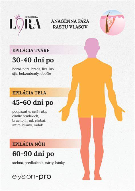 Infografika: Vlasový cyklus (anagénna, katagénna, telogénna fáza) a ukážka rozdielov medzi lokálnym a difúznym vypadávaním