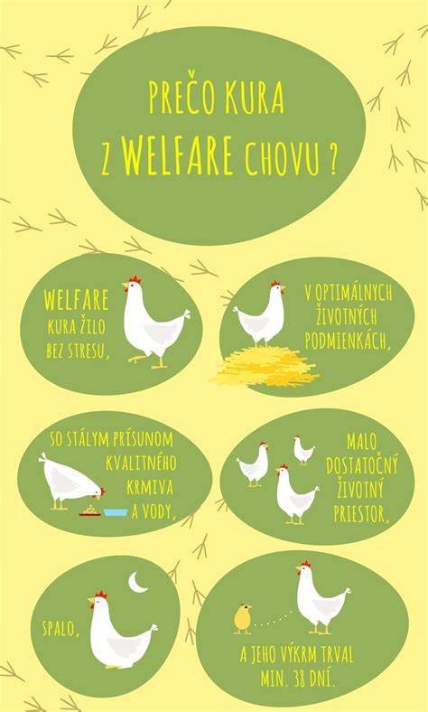 Infografika: Ako sa prejavuje alergia na uhorky a čo robiť pri podozrení