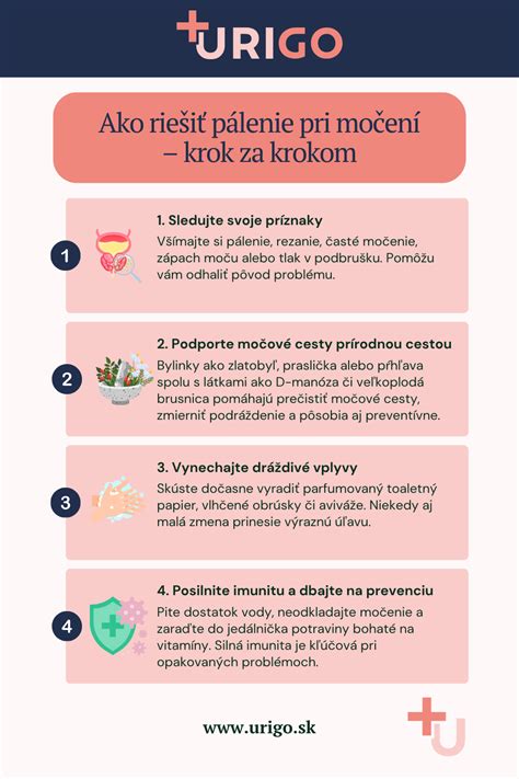 Infografika: krok za krokom - príprava držkovej polievky