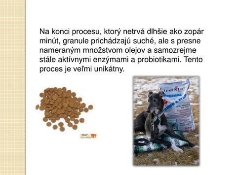 Ilustrácia procesu výroby granúl pre mačky