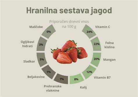 Infografika varianty bryndzových plník a čas pečenia
