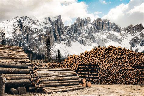 Foto sójových plátkov pripravených na ďalšie spracovanie