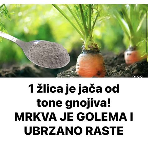 obrázok_uskladnenie_mrkva_piesok_rašelina