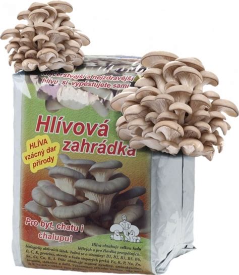 Výživové hodnoty hlivy ustricovej