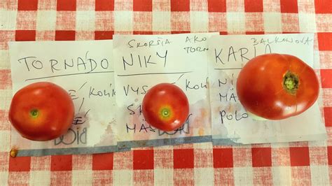 Graficky znázornená diverzita odrôd paradajok