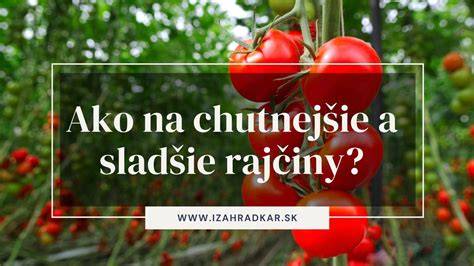 Infografika: rozdiely medzi ovocím a zeleninou z pohľadu paradajky