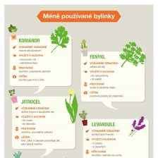 Infografika: Bylinky v kúpeľoch nôh a ich účinky