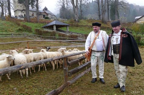 Chov oviec na tradičnom slovenskom salaši