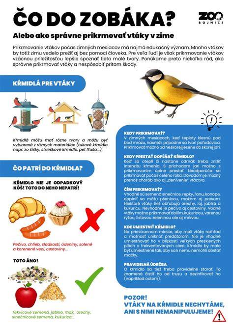 Infografika: Čo zahrnúť do číreho slepačieho vývaru - výber surovín a postup