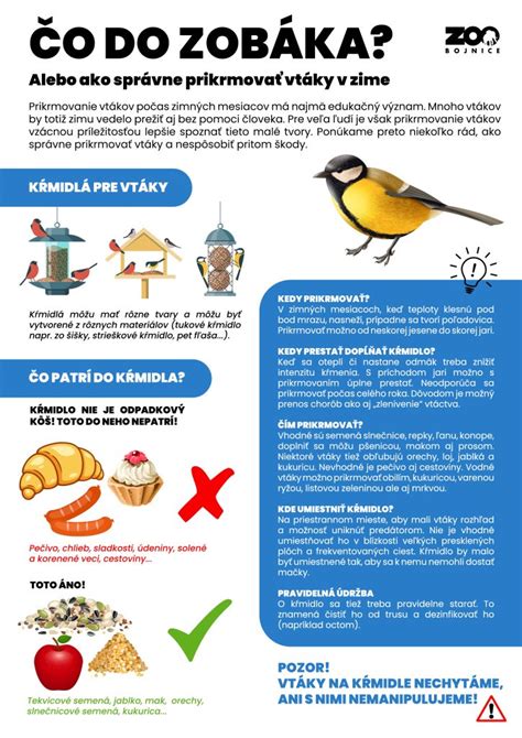 Infografika: Čo jesť a čo obmedziť pri liečbe hemoroidov