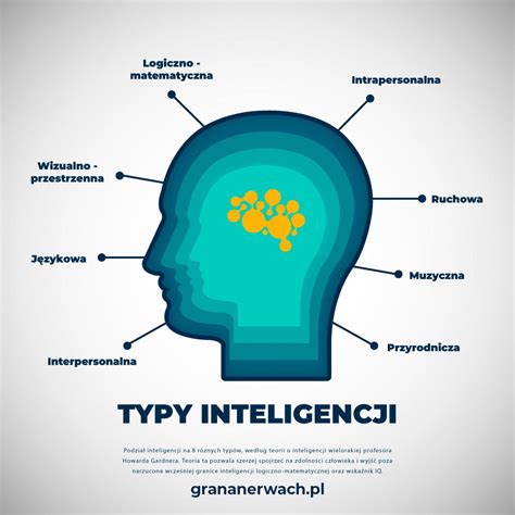 Infografika: Typy náplní a vrstiev koláča