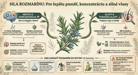 Infografika: Bhringaraj a jeho účinky na vlasy, pokožku a myseľ