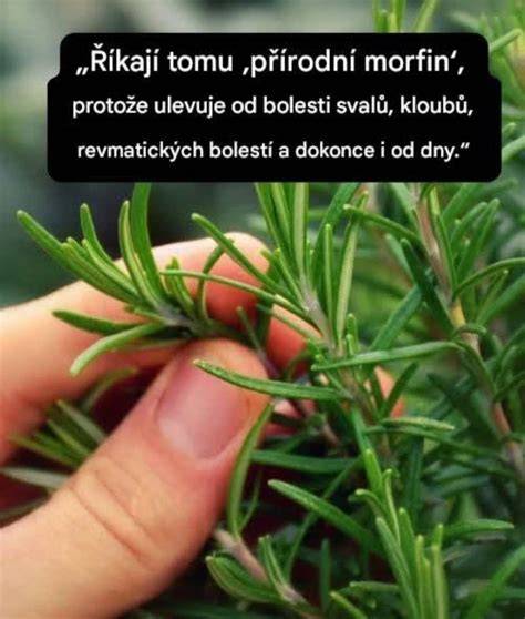 Marinovanie cibule a bylinky pre správnu arómu mäsa v sáčku