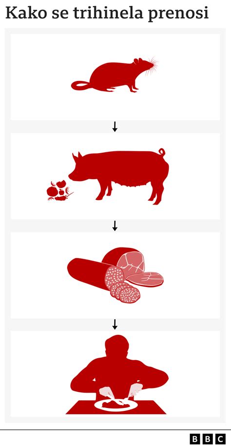 infografika_predajnost_mleteho_mesa.png
