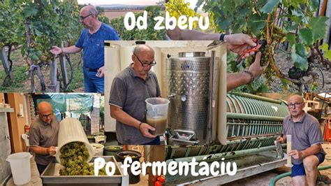 Infografika: Prehľad procesu od zberu po pálenie slivovice