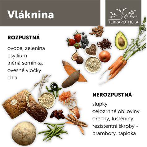 graf_vláknina_v_ovocí.png