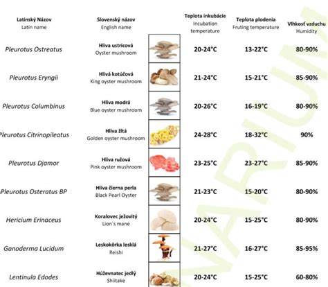 Infografika: Správne vnútorné teploty pre prúdom mäsa