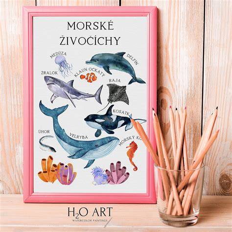 Obrázok Ryby - ilustrácia
