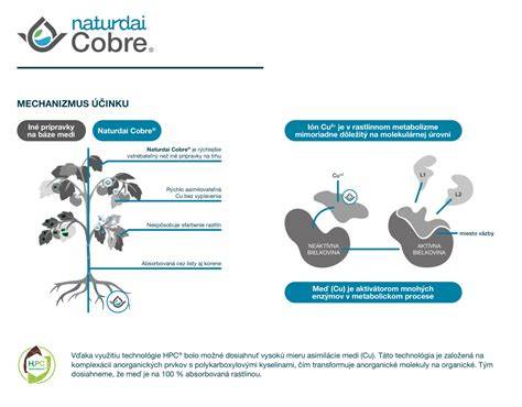 Infografika: Zloženie a mechanizmus účinku Coldrex Nočnej liečby