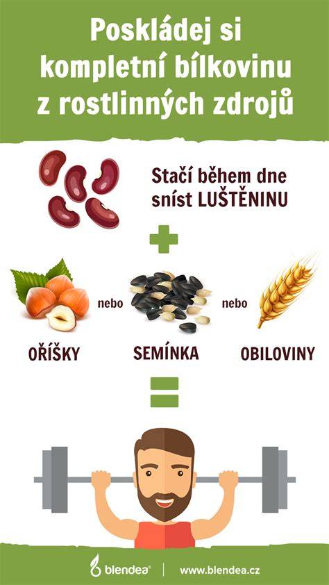 Infografika: Rozloženie cukrov v potravinách (čokoláda vs. sušené datle)