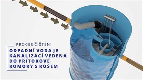 Infografika: Labyrintový dýchací systém a potreba vzduchu nad hladinou