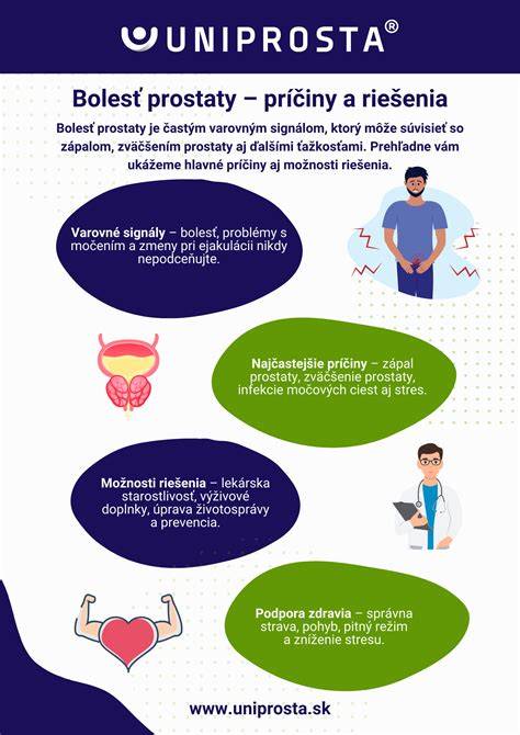 Infografika: anatomia prostaty a priebeh močenia pri zväčšenej prostate