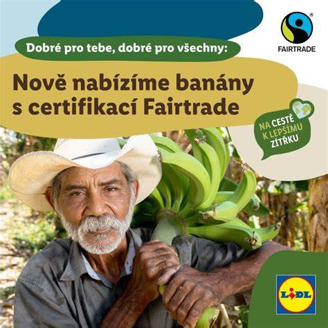 Infografika: UTZ a Fairtrade certifikáty v Lidlu a podiel kakaa