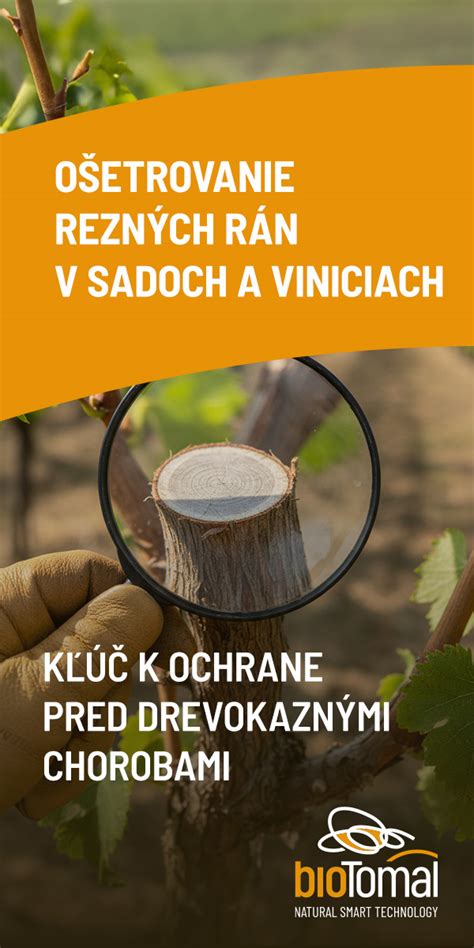 Východiskové pravidlá rezu malín