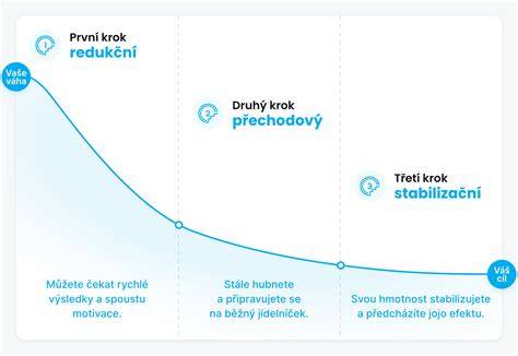 kroky_postupu_infografika