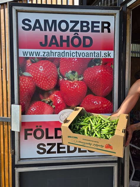 Samozber jahôd - ukážka techniky a postupov
