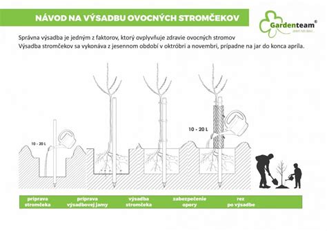 Tabuľka cien ovocných stromov