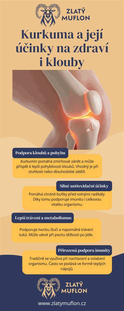 Infografika: Základné účinky majoránky na trávenie, imunitu a dýchácie cesty