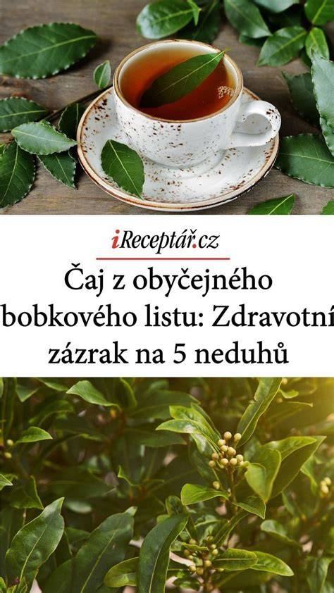 Infografika: Správny čas pridania bobkového listu do varenia a tipy na sušenie