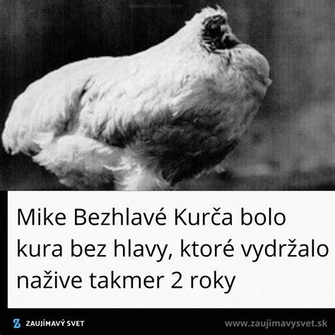 Portrét Mikea (bezhlavé kura)
