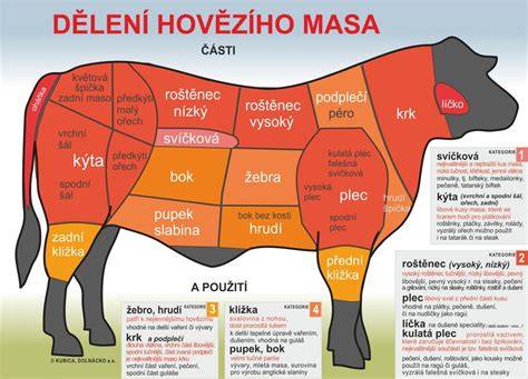 Kartografická ilustrácia znázorňujúca časti teľacieho mäsa na tele zvieraťa