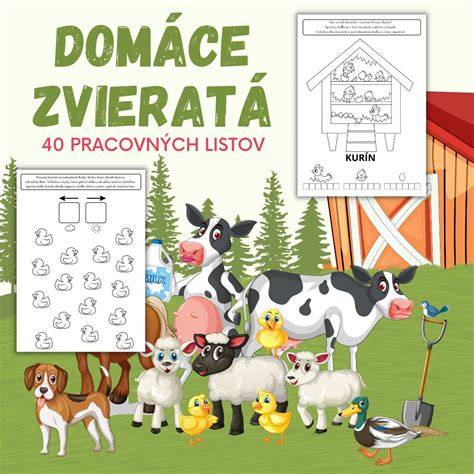 Obrázok: Základné zložky domáceho iontového nápoja a ich úlohy