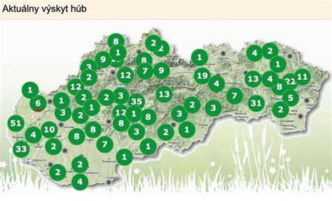 Mapa najlepších príloh k diviačiemu mäsu