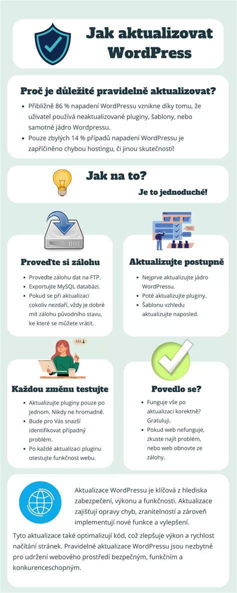 Infografika: schéma vrstiev placky a krokov prípravy